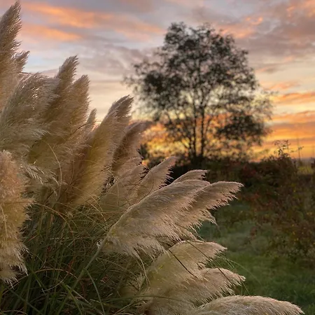 Chez Tiramisu Avec Piscine *